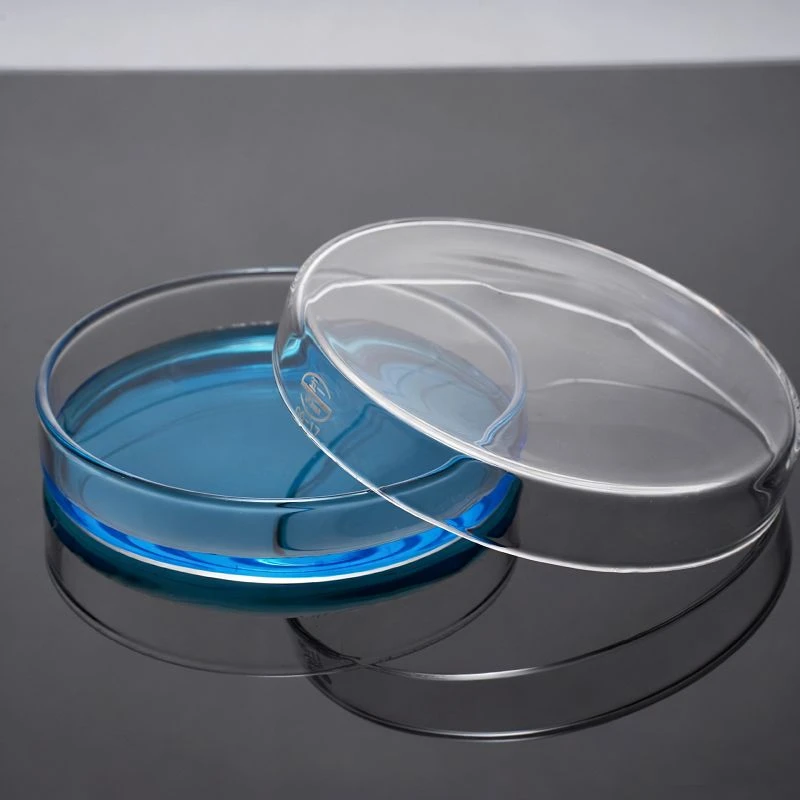 Glass Bottom Petri Dish